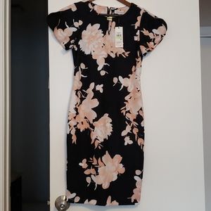 Calvin Klein work dress